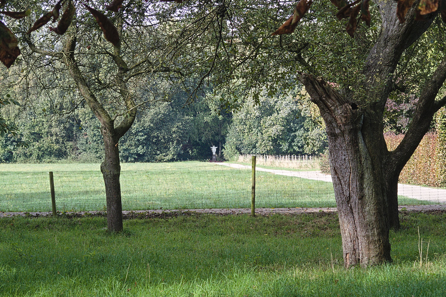 In de verte is mijn einddoel al zichtbaar: het Heilig-Hartbeeld.