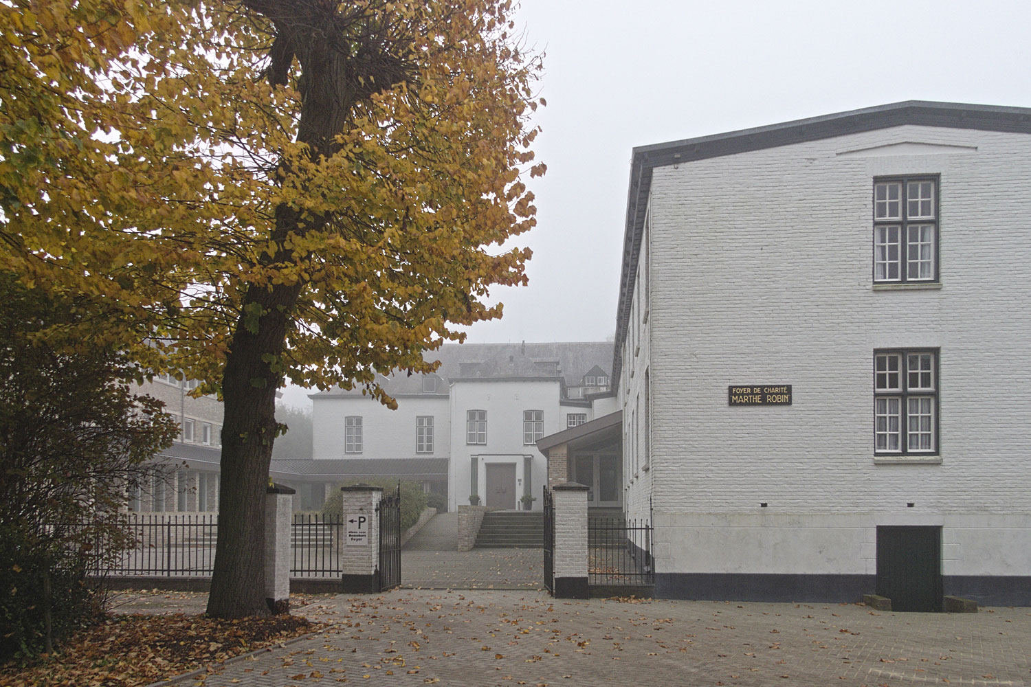 Ik wacht u voor het huis op om deze keer een wandeling door de mist te maken.