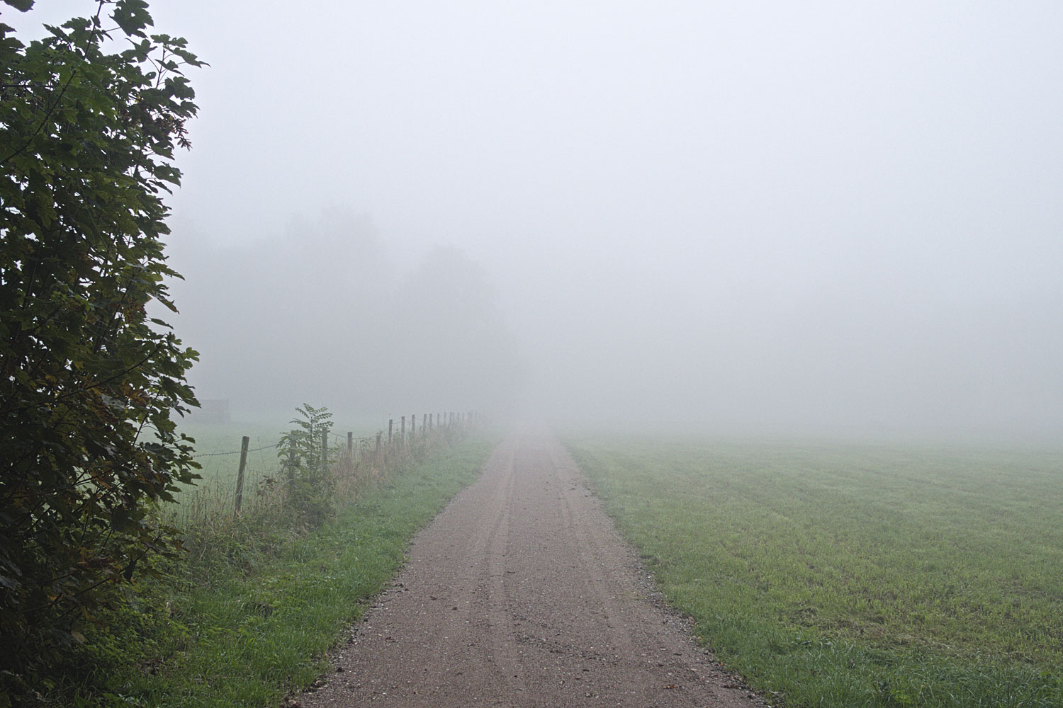 En dan zijn we het Heilig-Hartbeeld gepasseerd en nemen het pad terug naar huis.