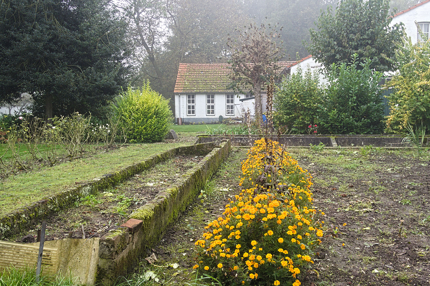 En ik eindig deze wandeling in de tuin achter het huis, met - alweer - de oranje afrikaantjes prominent in beeld.