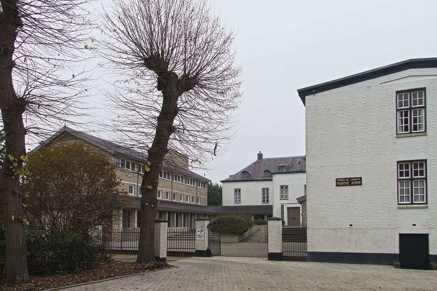 Hier een stukje verder. De eerste knotlinden zijn inmiddels helemaal kaal.