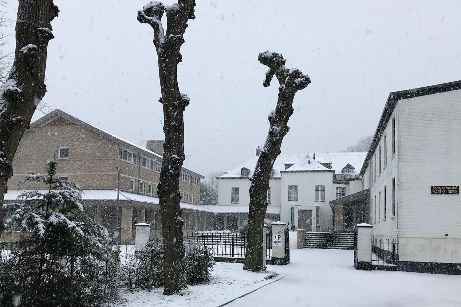 Allereerst een paar foto's van het vleugje winter dat we hier in Thorn mochten beleven.