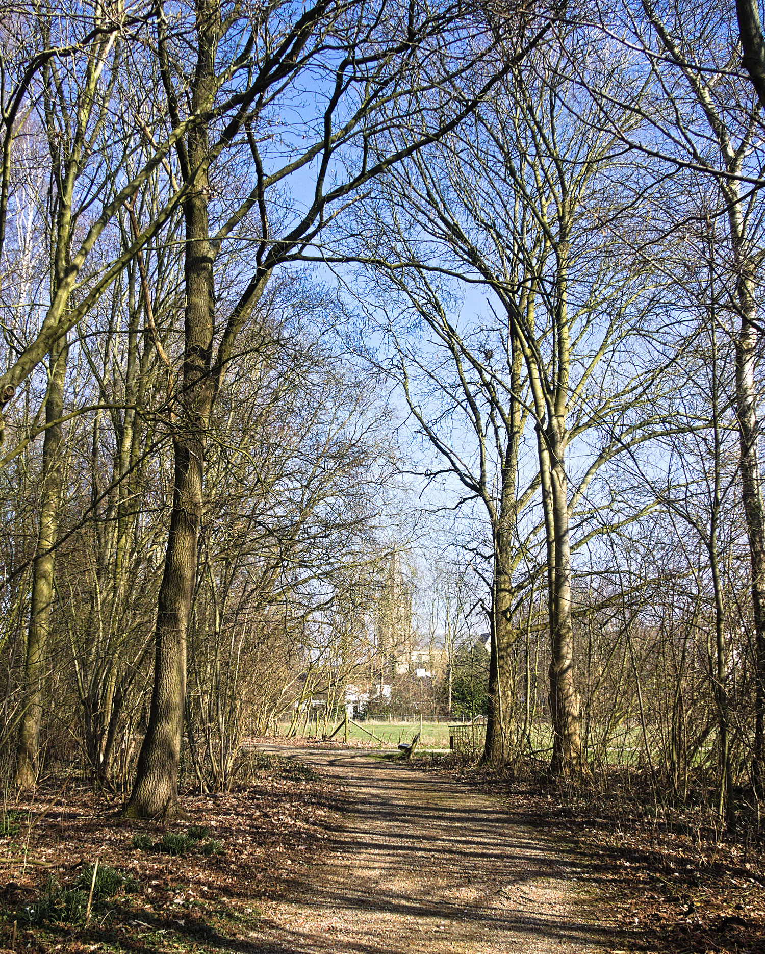 Dit pad neem ik want ik ga een rondje met u maken rond het Heilig-Hartbeeld.