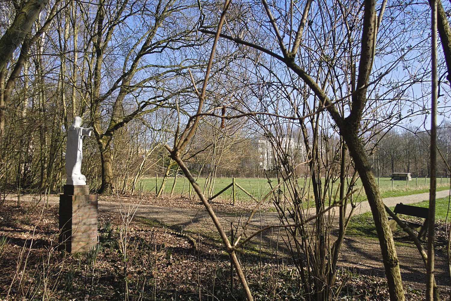 Een stukje verder het bosje in, dan komt het bankje ook in beeld.